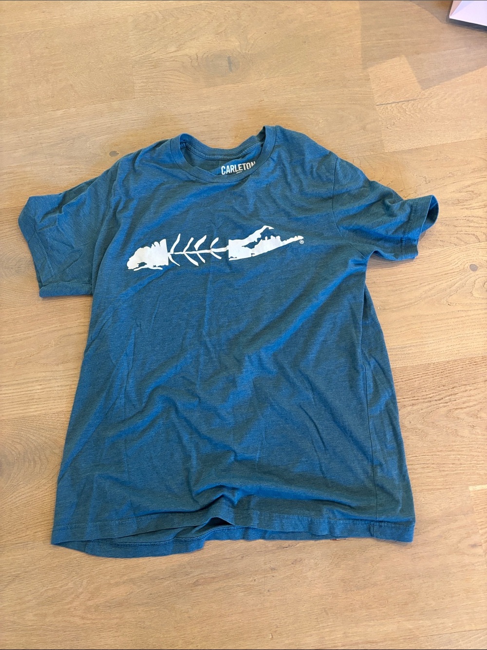 Men's Teal Graphic Short Sleeve Tee - White Print large